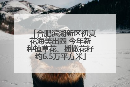 合肥滨湖新区初夏花海美出圈 今年新种植草花、播撒花籽约6.5万平方米
