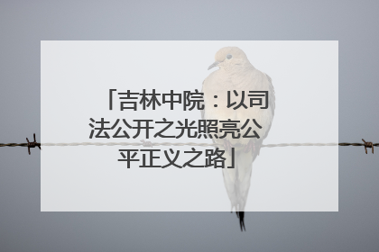 吉林中院：以司法公开之光照亮公平正义之路