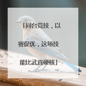 同台竞技，以赛促优，这场技能比武真硬核