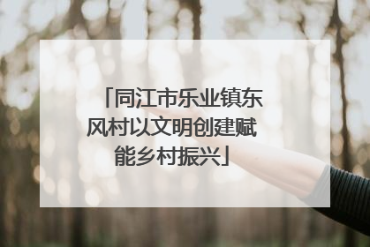 同江市乐业镇东风村以文明创建赋能乡村振兴