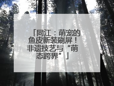 同江：萌宠的鱼皮新装刷屏！非遗技艺与“萌态跨界”