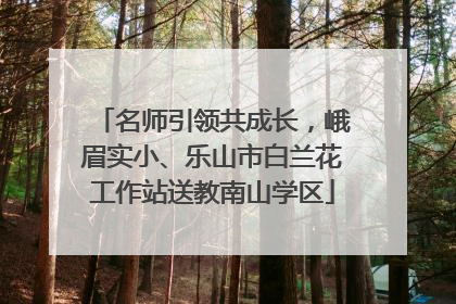 名师引领共成长，峨眉实小、乐山市白兰花工作站送教南山学区