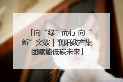 向“绿”而行 向“新”突破｜襄阳数产集团赋能低碳未来