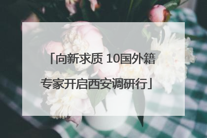 向新求质 10国外籍专家开启西安调研行