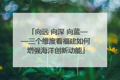 向远 向深 向蓝——三个维度看福建如何增强海洋创新动能