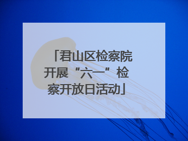 君山区检察院开展“六一”检察开放日活动