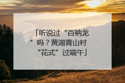 听说过“百衲龙”吗？黄湖青山村“花式”过端午