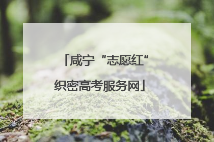 咸宁“志愿红”织密高考服务网