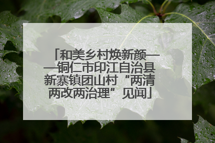 和美乡村焕新颜——铜仁市印江自治县新寨镇团山村“两清两改两治理”见闻