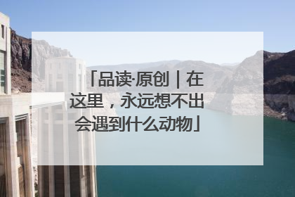 品读·原创｜在这里，永远想不出会遇到什么动物