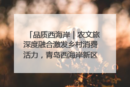 品质西海岸｜农文旅深度融合激发乡村消费活力，青岛西海岸新区的乡村振兴实践