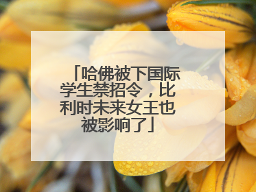 哈佛被下国际学生禁招令，比利时未来女王也被影响了