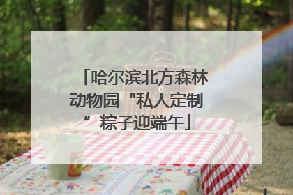 哈尔滨北方森林动物园“私人定制”粽子迎端午