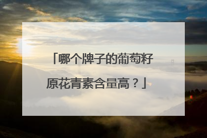 哪个牌子的葡萄籽原花青素含量高？