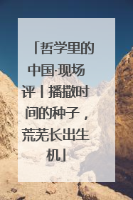 哲学里的中国·现场评丨播撒时间的种子，荒芜长出生机