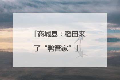商城县：稻田来了“鸭管家”
