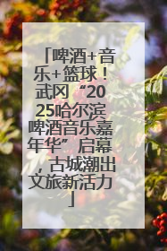 啤酒+音乐+篮球！武冈“2025哈尔滨啤酒音乐嘉年华”启幕，古城潮出文旅新活力