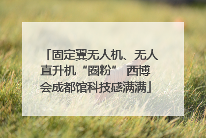 固定翼无人机、无人直升机“圈粉” 西博会成都馆科技感满满