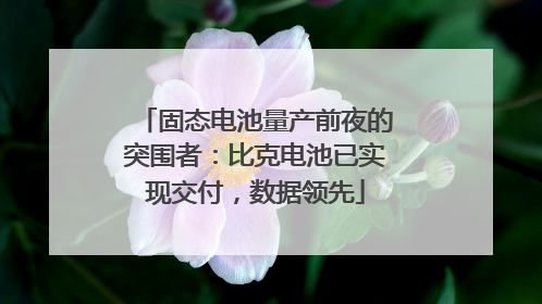 固态电池量产前夜的突围者：比克电池已实现交付，数据领先