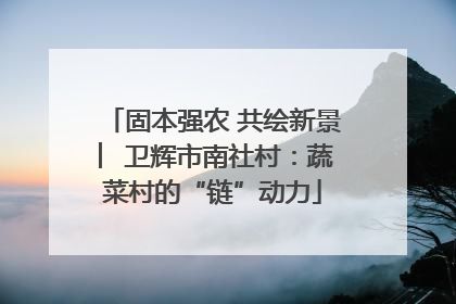 固本强农 共绘新景 ︳卫辉市南社村：蔬菜村的“链”动力
