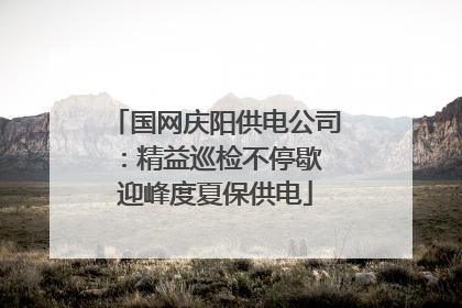 国网庆阳供电公司：精益巡检不停歇 迎峰度夏保供电