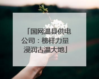 国网温县供电公司：榜样力量浸润古温大地