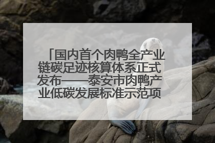 国内首个肉鸭全产业链碳足迹核算体系正式发布——泰安市肉鸭产业低碳发展标准示范项目顺利通过验收