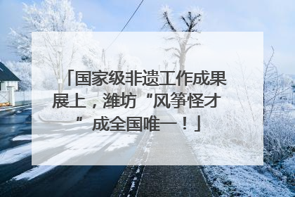 国家级非遗工作成果展上，潍坊“风筝怪才”成全国唯一！