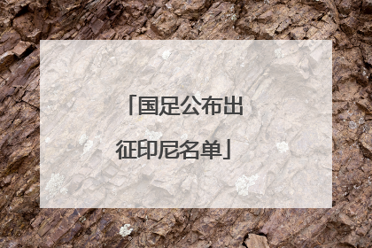 国足公布出征印尼名单