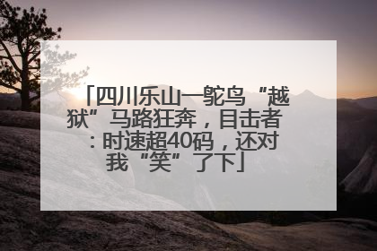 四川乐山一鸵鸟“越狱”马路狂奔，目击者：时速超40码，还对我“笑”了下