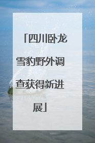 四川卧龙雪豹野外调查获得新进展