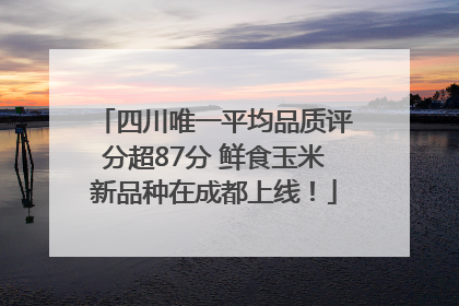 四川唯一平均品质评分超87分 鲜食玉米新品种在成都上线！