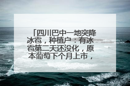 四川巴中一地突降冰雹，种植户：有冰雹第二天还没化，原本葡萄下个月上市，现在全被打落