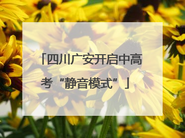 四川广安开启中高考“静音模式”