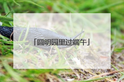 圆明园里过端午