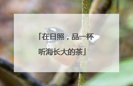 在日照，品一杯听海长大的茶