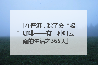 在普洱，粽子会“喝”咖啡——有一种叫云南的生活之365天