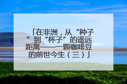 在非洲，从“种子”到“杯子”的遥远距离——一颗咖啡豆的前世今生（三）