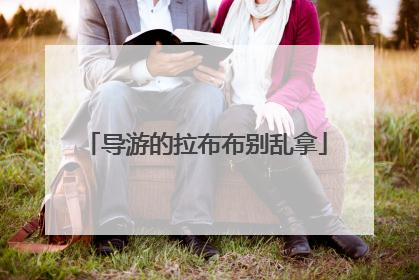 导游的拉布布别乱拿