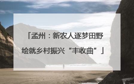孟州：新农人逐梦田野 绘就乡村振兴“丰收曲”