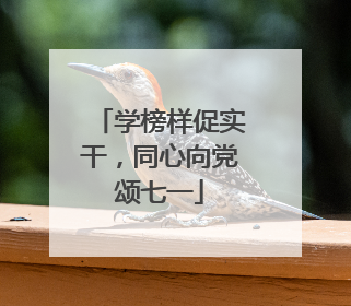 学榜样促实干，同心向党颂七一