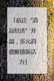 宿迁“清凉经济”升温，多元消费解锁新活力