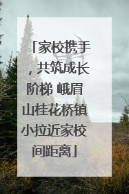 家校携手，共筑成长阶梯 峨眉山桂花桥镇小拉近家校间距离