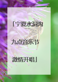 宁夏水洞沟 九点音乐节激情开唱
