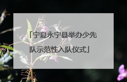 宁夏永宁县举办少先队示范性入队仪式