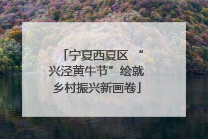 宁夏西夏区 “兴泾黄牛节”绘就乡村振兴新画卷