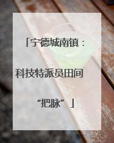宁德城南镇：科技特派员田间“把脉”