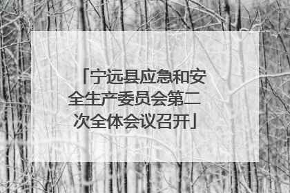 宁远县应急和安全生产委员会第二次全体会议召开