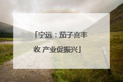宁远：茄子喜丰收 产业促振兴