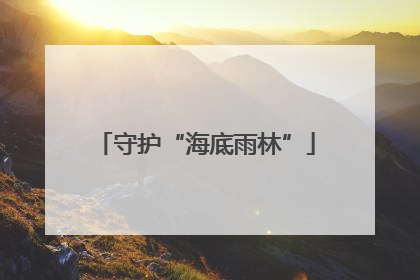 守护“海底雨林”